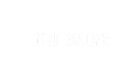 Vct Guild Sticker by VALORANT Esports
