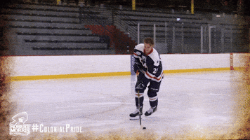happy ice hockey GIF by Robert Morris University Athletics