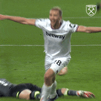 Premier League Football GIF by West Ham United
