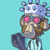 Animation Clapping GIF by Planet XOLO