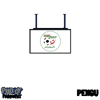 World Cup Football Sticker by Pudgy Penguins