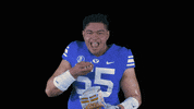Gocougs Byufootball GIF by BYU Cougars