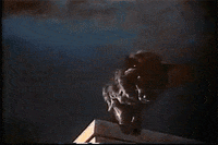 hammer horror GIF by Shudder