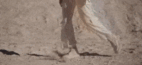 Mywalo GIF