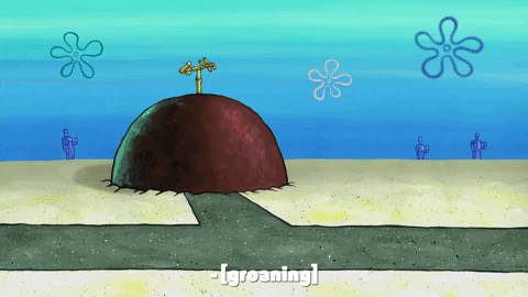 season 10 episode 3 GIF by SpongeBob SquarePants