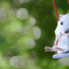 Avatar of LinSpinner