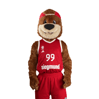 Mascot Thumbs Up Sticker by FC Bayern Basketball