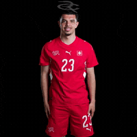 Fifa World Cup Switzerland GIF by Respective
