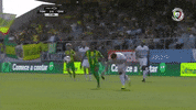 Tondela Golo murillo tondela cdtondela GIF