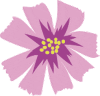 kamillaborgs flower flores flor kamillaborges Sticker