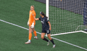 Washingtonspirit GIF by National Women's Soccer League