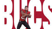 Sean Murphy-Bunting Football GIF by Tampa Bay Buccaneers