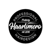 Hairdesign Sticker by Haarlimero