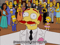 bart simpson seymour GIF