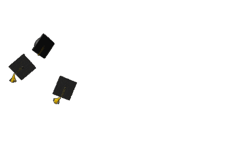 Ensino Medio Party Sticker by VIVA EVENTOS