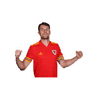 Euro 2020 Football Sticker by FA Wales