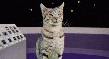 mighty morphin power rangers cat GIF by Power Rangers