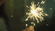 braid GIF by Topshelf Records