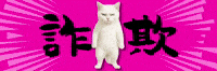 mgtne cat warning alert ねこ GIF