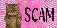mgtne cat warning alert ねこ GIF