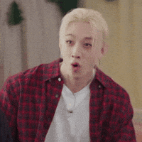 Stray Kids Skz GIF