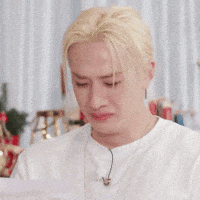 Stray Kids Skz GIF