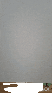 GIF by Women's Nature