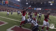 atlanta falcons GIF by NFL