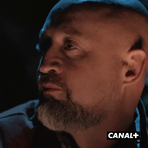 Mister V Irl GIF by CANAL+