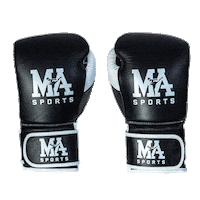 masports boxing gloves boksen leeuwarden Sticker