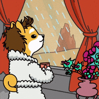 Raining Rainy Day GIF by Dogelon Mars