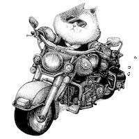 Cat Sticker