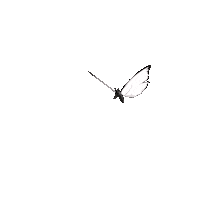 Logo Artist Sticker by Siena Bella