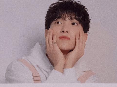 Dk 세븐틴 GIF