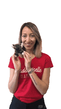 Australia Koala Sticker by Manoztralia