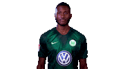france football Sticker by VfL Wolfsburg