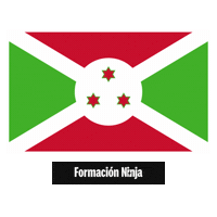 Flag Pixel Art Sticker by Formación Ninja
