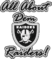 page raiders STICKER