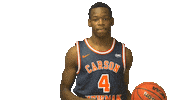 Carson Newman Shrug Sticker by Carson-Newman Athletics