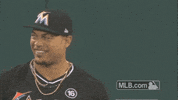 mlb marlins miami marlins stanton giancarlo stanton GIF