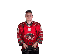 HCORLIZNOJMO 10 orli znojmo orliznojmo Sticker