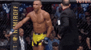 Edson Barboza Sport GIF by UFC