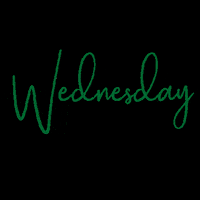 RealBossWomen winning wednesday weekdays wins GIF