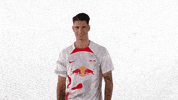 Football Hello GIF by RB Leipzig
