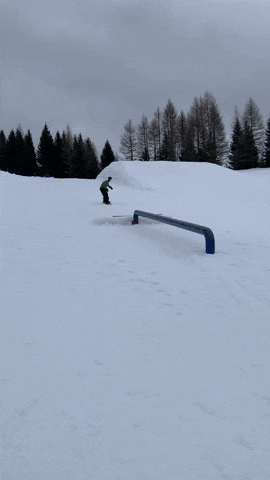 Boardslide GIF by bonebinding