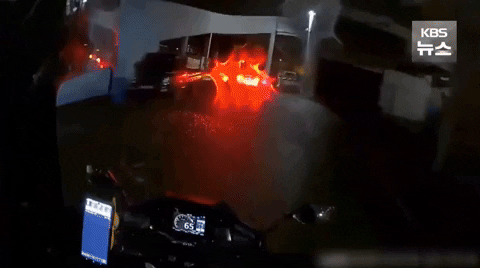 yj_jane giphyupload GIF