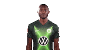 Josuha Guilavogui Instagram Sticker by VfL Wolfsburg