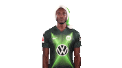 Josuha Guilavogui Instagram Sticker by VfL Wolfsburg