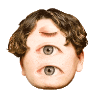 sonicseagirls logo trippy weird eyes Sticker