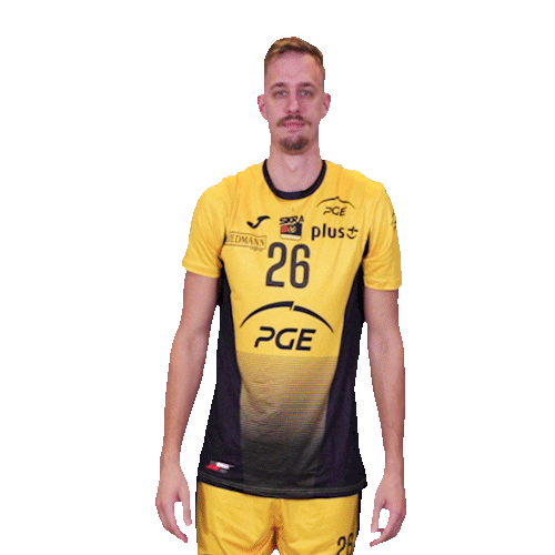 Volleyball Step Sticker by PGE Skra Bełchatów